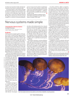 Nervous systems made simple