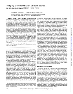 Imaging of intracellular calcium stores in single - AJP-Cell