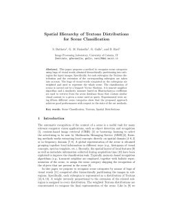 Spatial Hierarchy of Textons Distributions for Scene Classification
