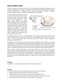 Human Reflex Study