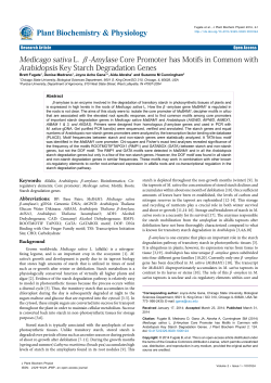 Peer-reviewed Article PDF - e