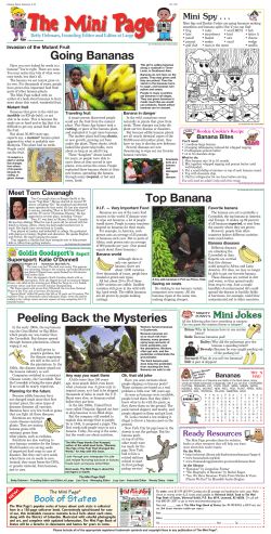Going Bananas Top Banana Peeling Back the Mysteries
