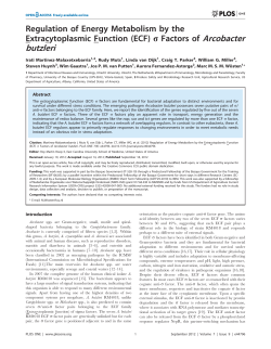 Arcobacter butzleri - Utrecht University Repository