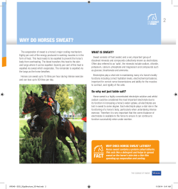 2 WHY DO HORSES SWEAT?