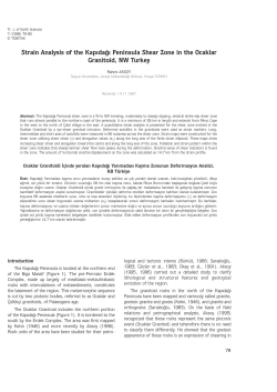 Strain Analysis of the Kapıdağı Peninsula Shear