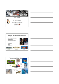 Fish ethics, C Brown - Animal Ethics Infolink