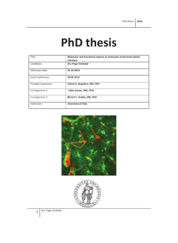 PhD thesis - DUO