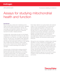 Assays for studying mitochondrial health and function