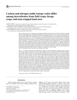 Carbon and nitrogen stable isotope ratios differ among invertebrates