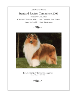 Sable Merle - Collie Club of America