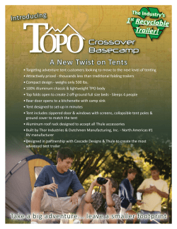 2009 Topo Flyer