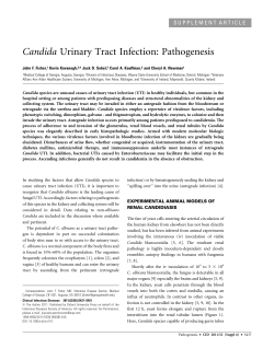 Candida Urinary Tract Infection: Pathogenesis