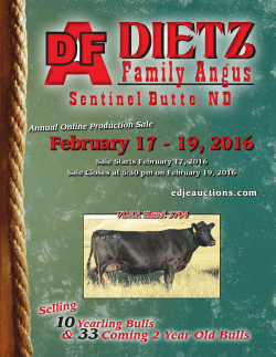 February 17 - 19, 2016 February 17 - 19, 2016