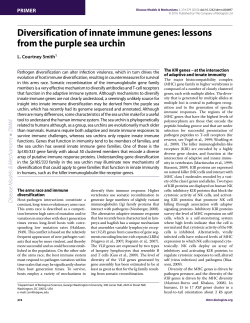 Diversification of innate immune genes: lessons from the purple sea