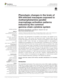 Phenotypic changes in the brain of SIV