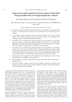 Long-term synaptic plasticity between pairs of individual CA3
