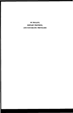 Of piglets, dietary proteins, and pancreatic proteases