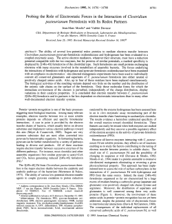Probing the Role of Electrostatic Forces in the Interaction of