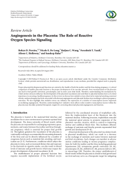 Angiogenesis in the Placenta: The Role of Reactive Oxygen Species