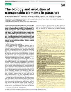 The biology and evolution of transposable elements in parasites
