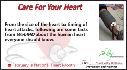 Amazing Facts About Heart Health and Heart Disease