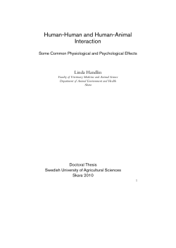 Human-Human and Human-Animal Interaction