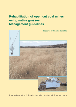 Rehabilitation of open cut coal mines using