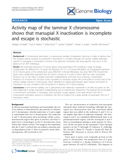 Activity map of the tammar X chromosome shows