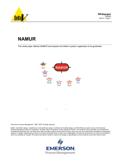 namur