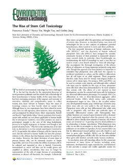 The Rise of Stem Cell Toxicology