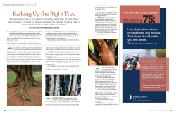 Barking Up the Right Tree