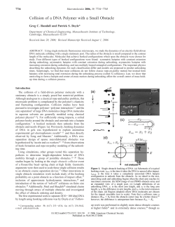 Collision of a DNA Polymer with a Small Obstacle