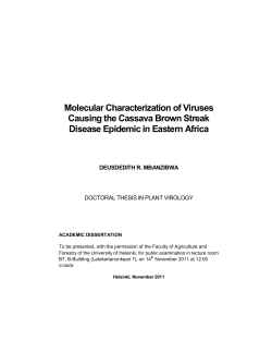 Molecular Characterization of Viruses Causing the Cassava
