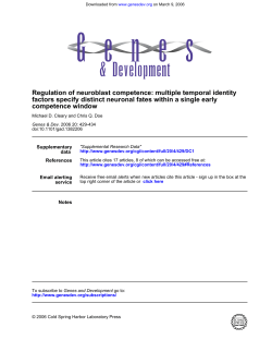 competence window factors specify distinct neuronal fates within a