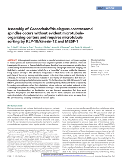Assembly of Caenorhabditis elegans acentrosomal spindles occurs