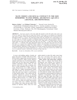 Mate choice and sexual conflict in the size dimorphic water spider