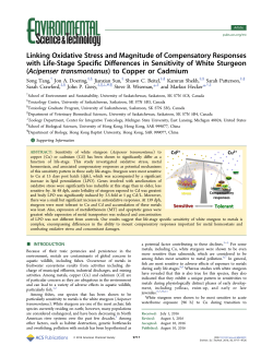 Linking Oxidative Stress and Magnitude of Compensatory