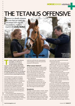the tetanus offensive - The George Veterinary Group