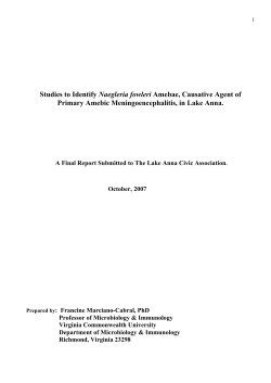 Studies to Identify Naegleria fowleri Amebae, Causative Agent of