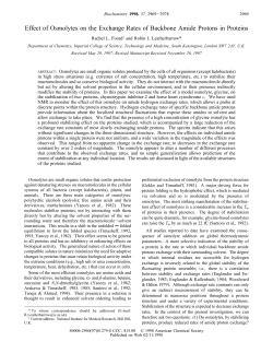 Effect of Osmolytes on the Exchange Rates of Backbone Amide