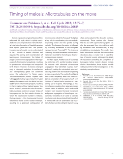 Timing of meiosis: Microtubules on the move