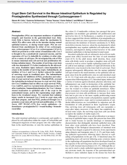 Crypt Stem Cell Survival in the Mouse Intestinal Epithelium Is