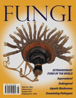 FUNGI Magazine