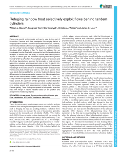 Refuging rainbow trout selectively exploit flows behind tandem
