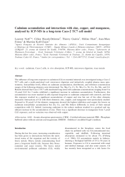 Cadmium accumulation and interactions with zinc, copper