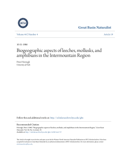 Biogeographic aspects of leeches, mollusks, and amphibians in the