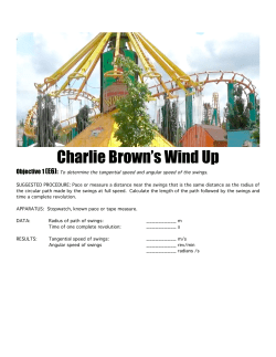 PW Charlie Brown`s Wind Up