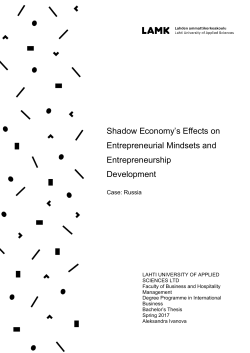 Shadow Economy`s Effects on Entrepreneurial Mindsets