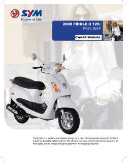 2009 FIDDLE II 125: Retro Spirit