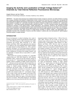 Imaging the Activity and Localization of Single Voltage